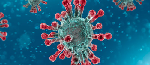 Coronavirus: Abgesagte Veranstaltungen